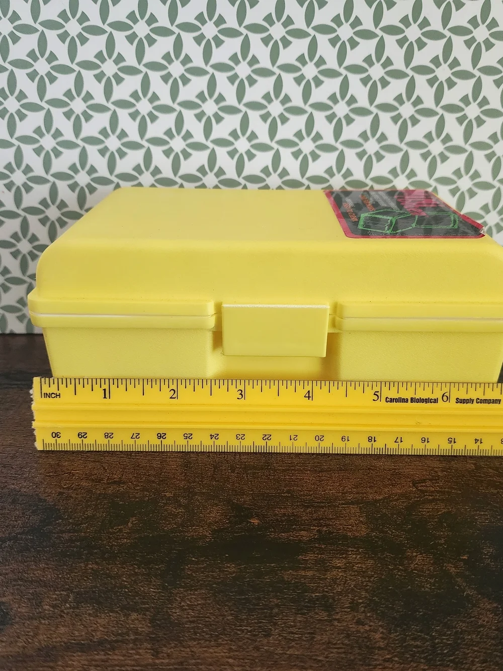 1993 Mini Plastic Cooler